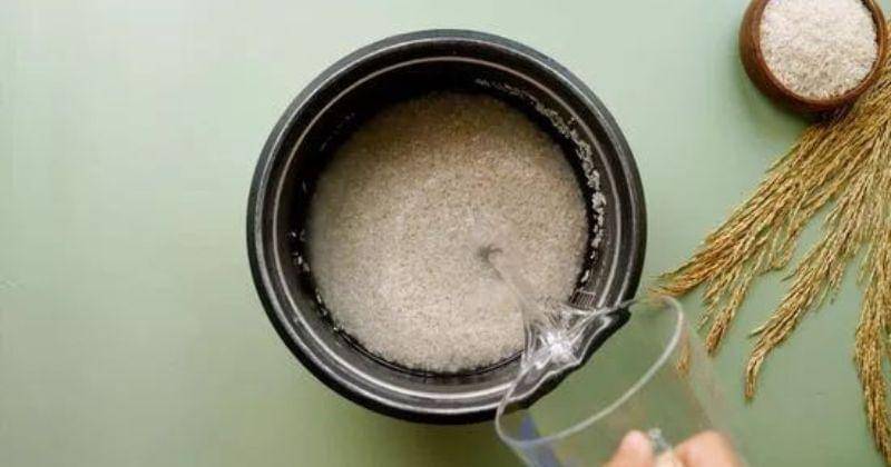 Pinterest.com/wikiHow